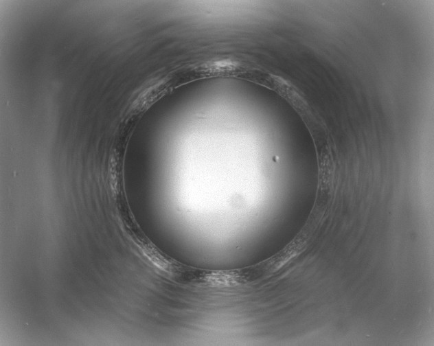 X0000060750762200512011446