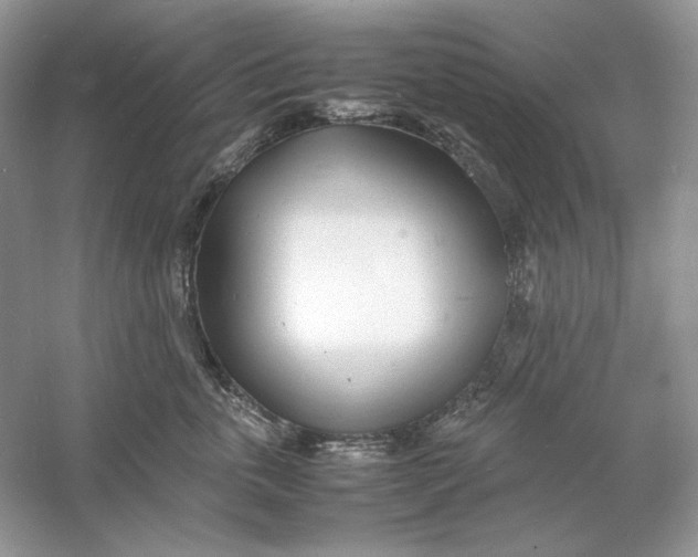 X0000060750763200512011446