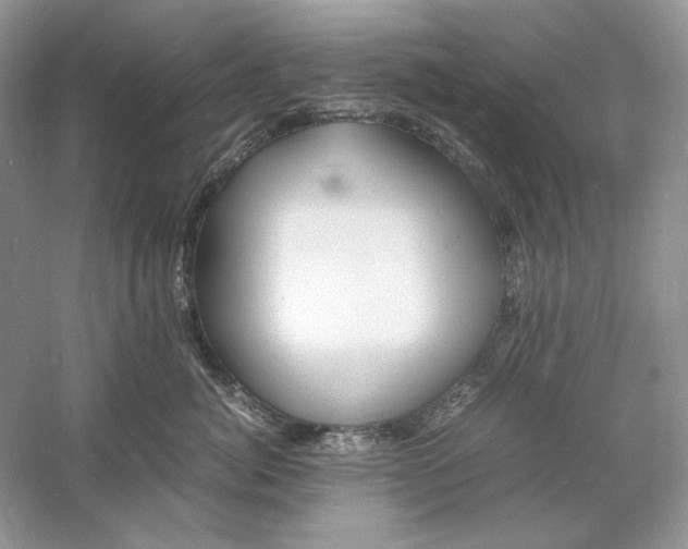 X0000060750764200512011446
