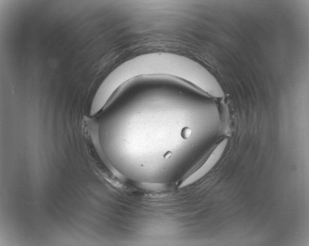 X0000060750766200512011447