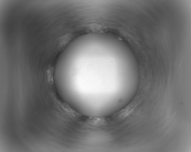 X0000060750768200512011447