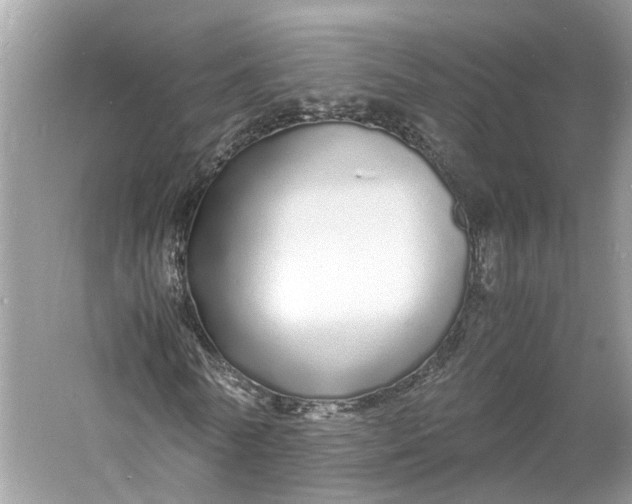 X0000060750770200512011446