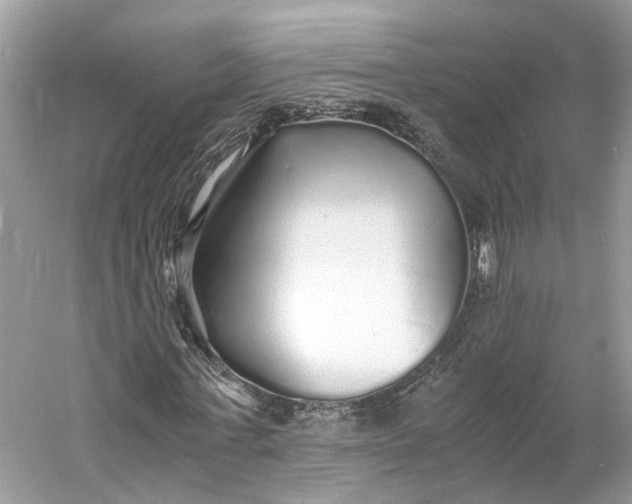X0000060750771200512011446