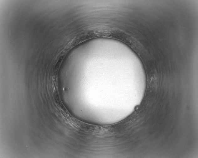 X0000060750772200512011446