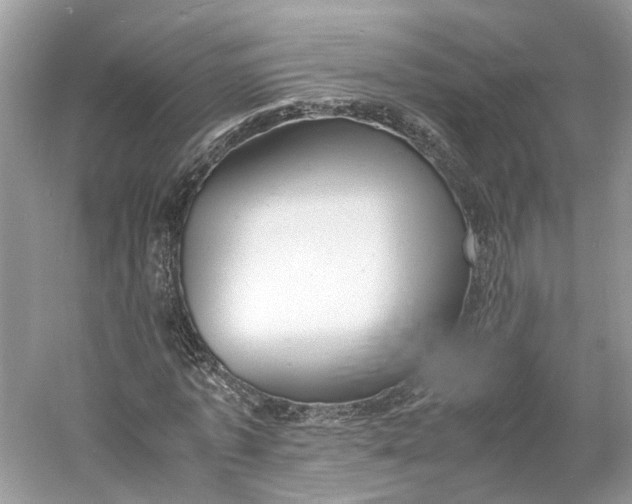 X0000060750773200512011446