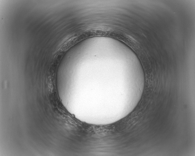 X0000060750774200512011446