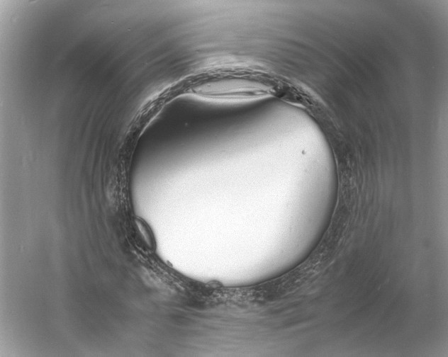 X0000060750775200512011446