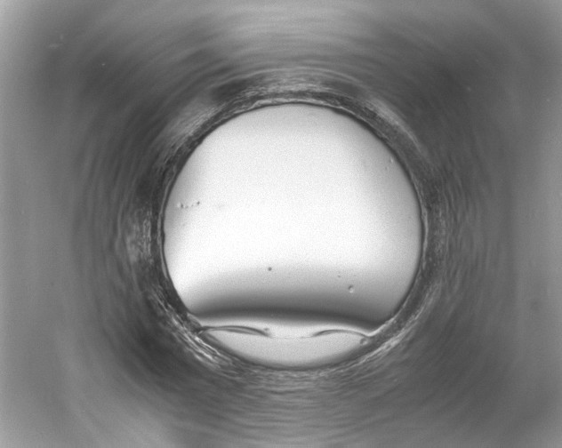 X0000060750777200512011446