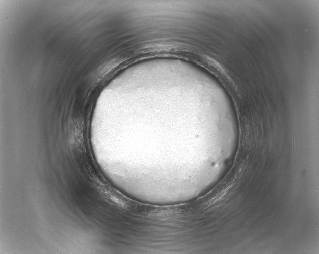 X0000060750778200512011446