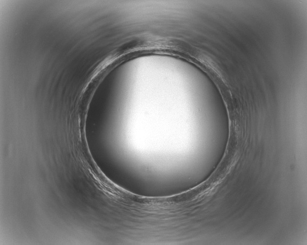 X0000060750781200512011446