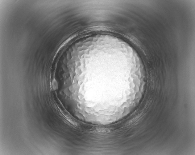 X0000060750782200512011445