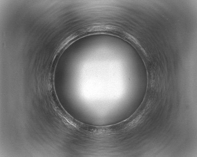 X0000060750786200512011445