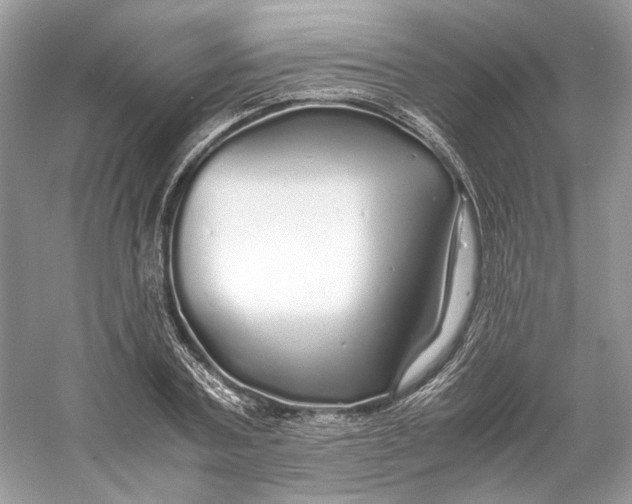 X0000060750787200512011445