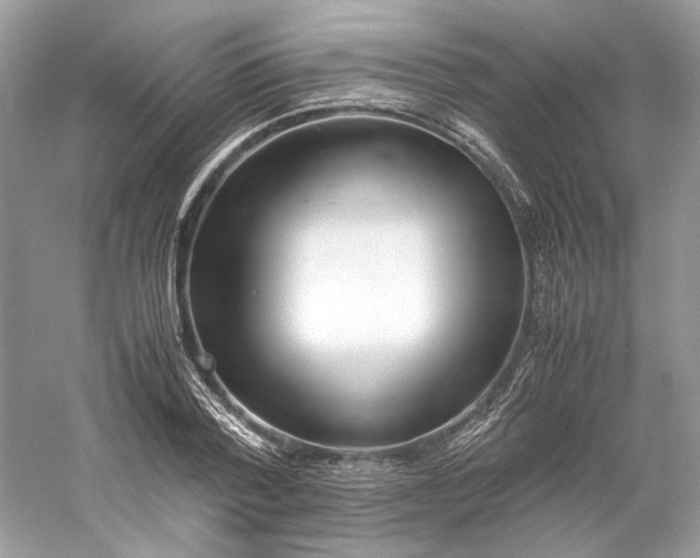 X0000060750788200512011445