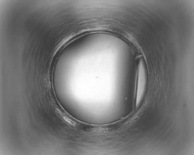 X0000060750789200512011445