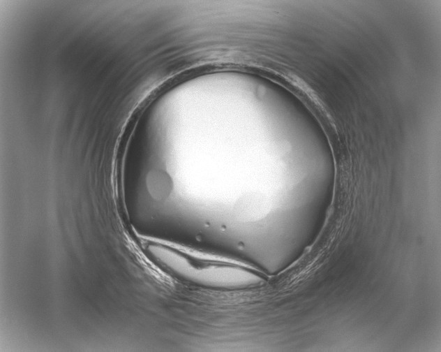X0000060750791200512011445