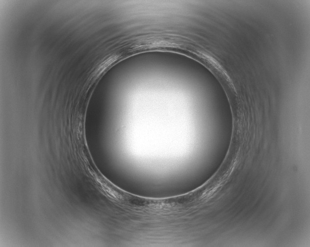 X0000060750793200512011445