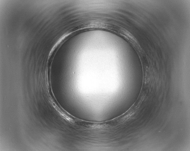 X0000060750796200512011445