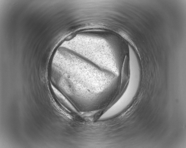 X0000060750797200512011445
