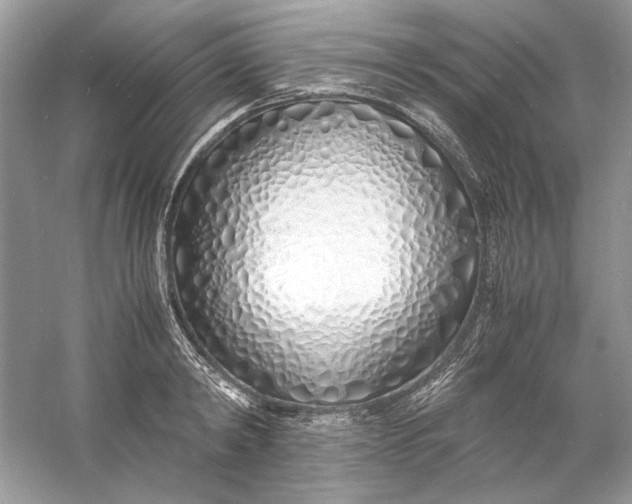 X0000060750798200512011445