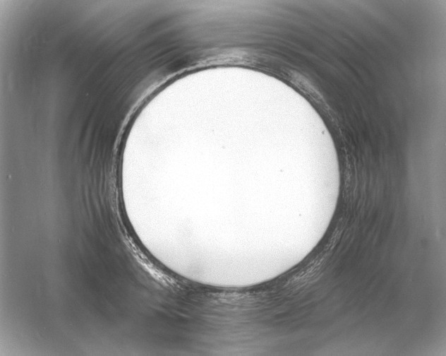 X0000060750800200512011445