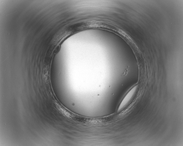 X0000060750801200512011445