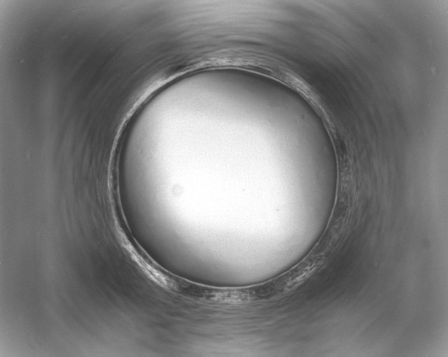 X0000060750803200512011445