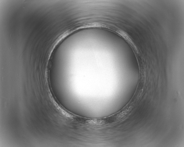 X0000060750805200512011445