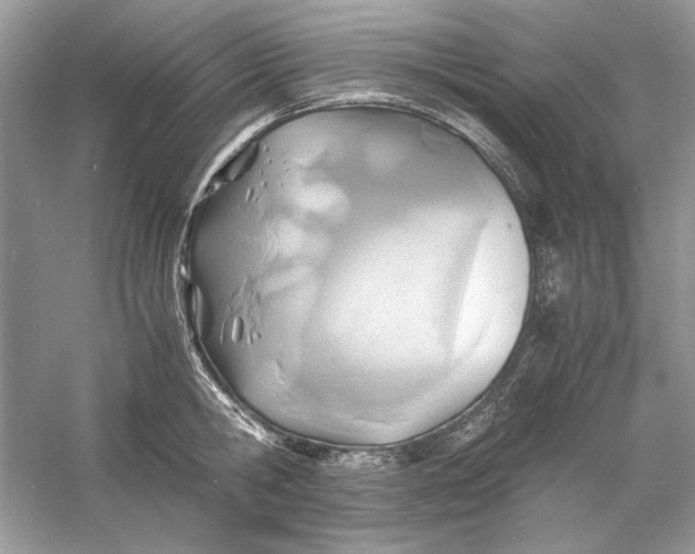 X0000060750806200512011445