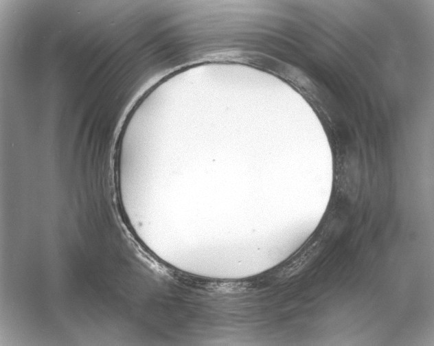 X0000060750808200512011445