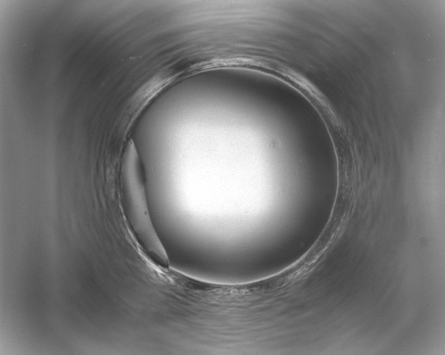X0000060750809200512011445