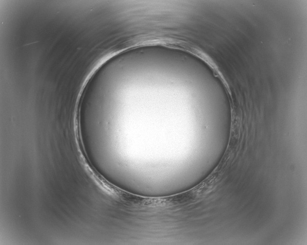 X0000060750811200512011445