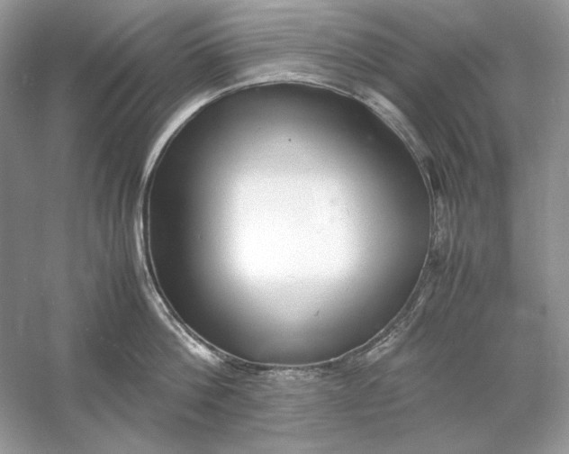 X0000060750812200512011445