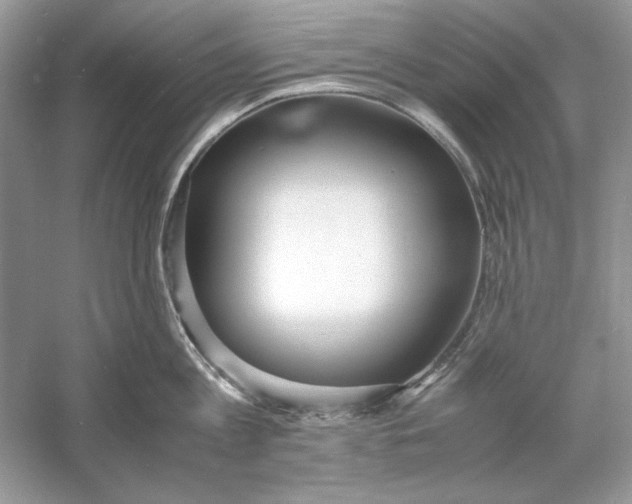 X0000060750813200512011445