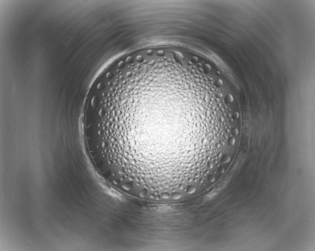 X0000060750814200512011445
