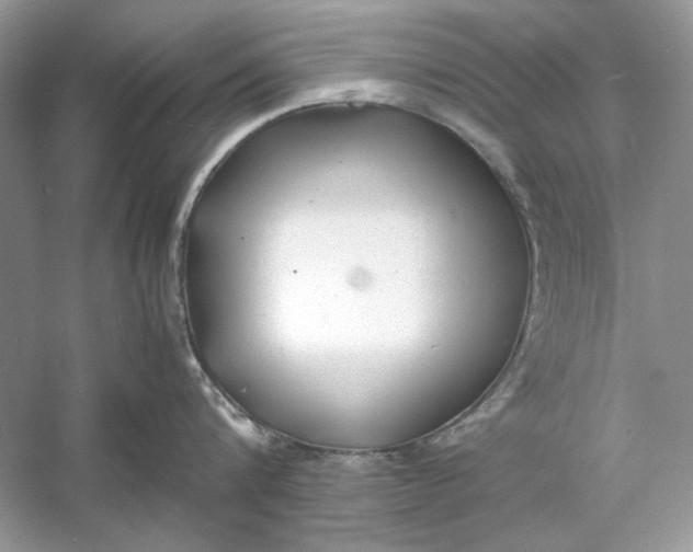 X0000060750816200512011445