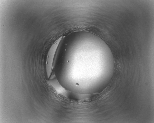 X0000060750818200512011444