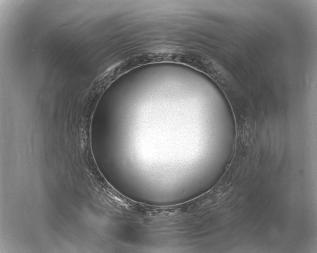 X0000060750821200512011444
