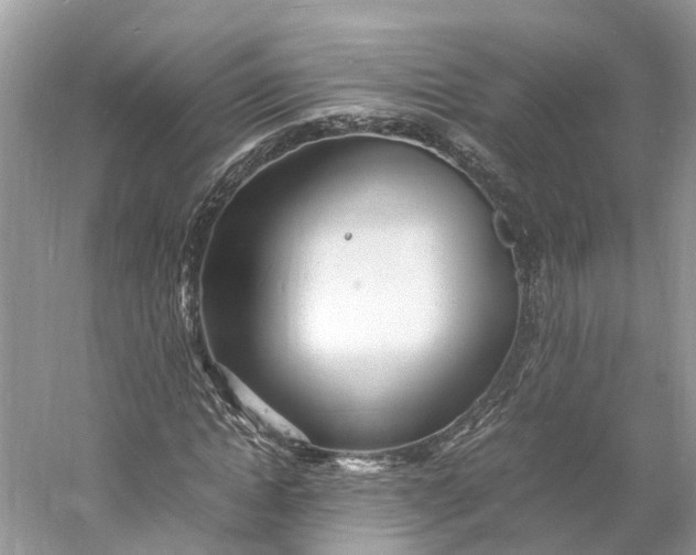 X0000060750822200512011444