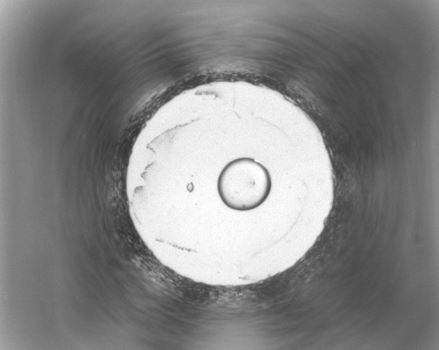 X0000060750824200512011444