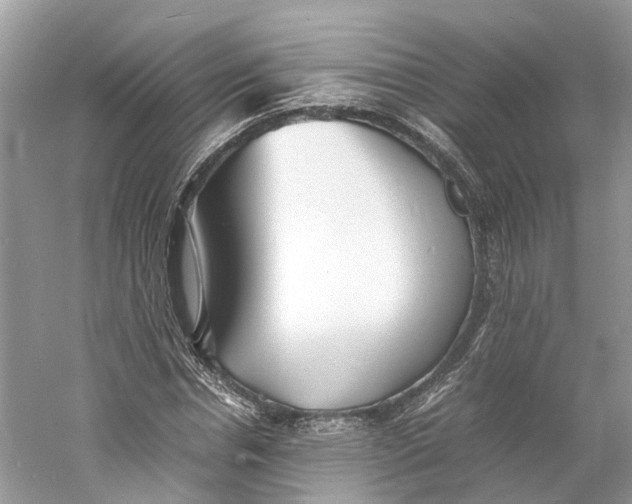 X0000060750826200512011444