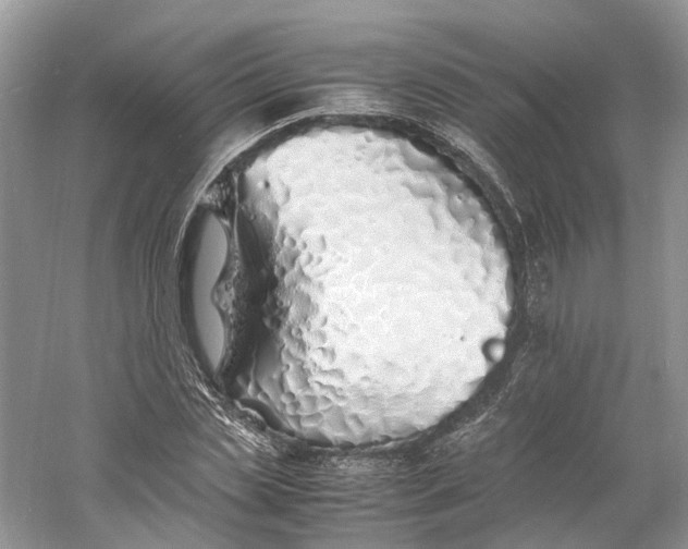 X0000060750829200512011444