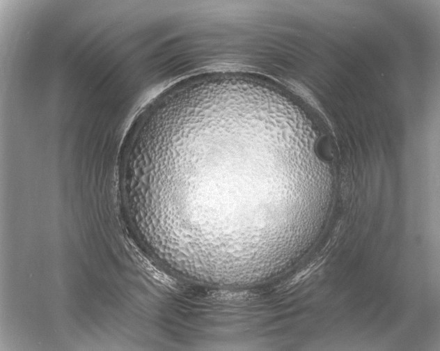 X0000060750831200512011444