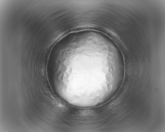 X0000060750833200512011444