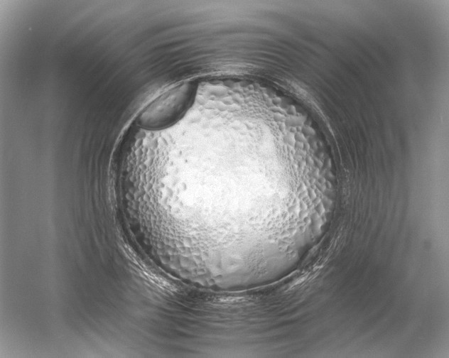X0000060750835200512011444