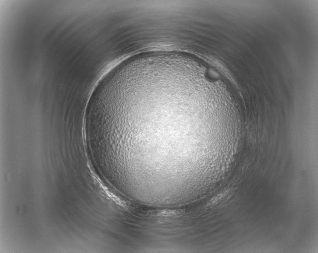X0000060750839200512011444