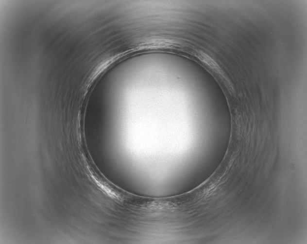 X0000060750842200512011444