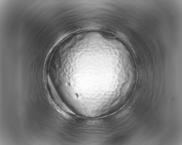 X0000060750843200512011444