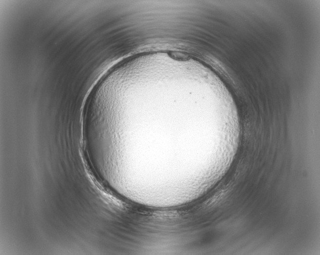 X0000060750844200512011444