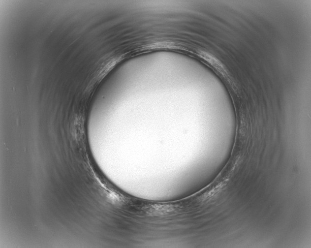 X0000060750849200512011445